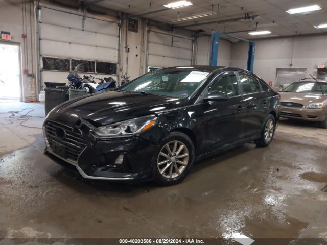 Photo 1 VIN: 5NPE24AF0JH714127 - HYUNDAI SONATA 