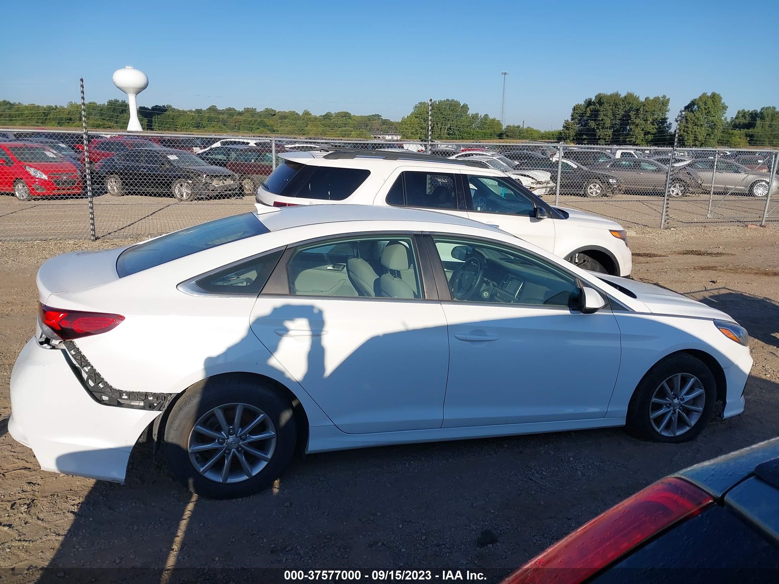 Photo 13 VIN: 5NPE24AF0JH728920 - HYUNDAI SONATA 