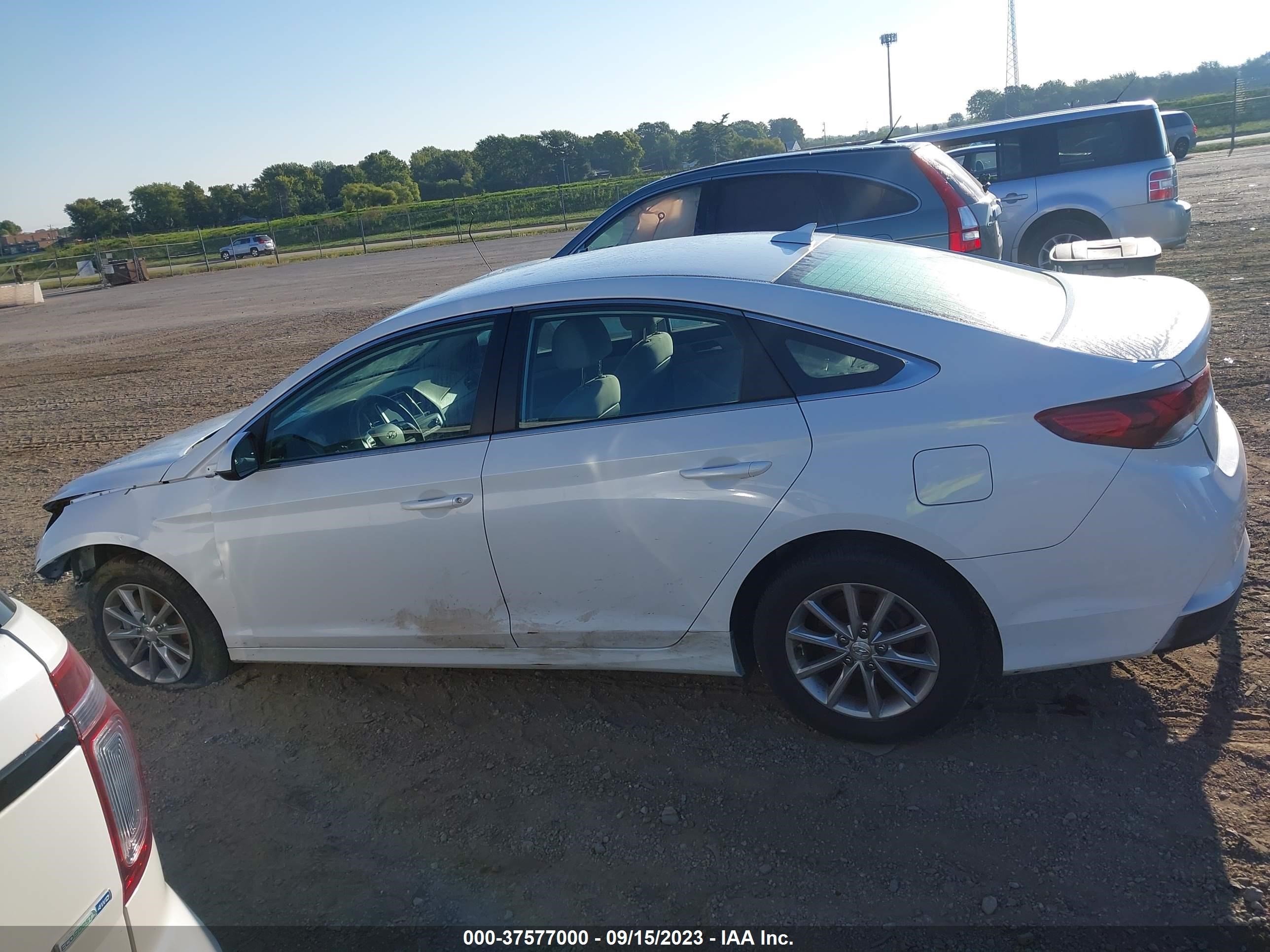 Photo 14 VIN: 5NPE24AF0JH728920 - HYUNDAI SONATA 