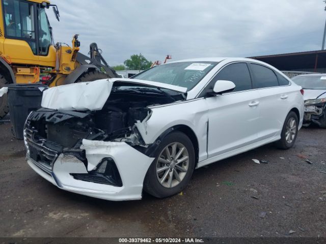 Photo 1 VIN: 5NPE24AF0KH731818 - HYUNDAI SONATA 