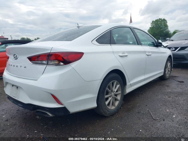 Photo 3 VIN: 5NPE24AF0KH731818 - HYUNDAI SONATA 