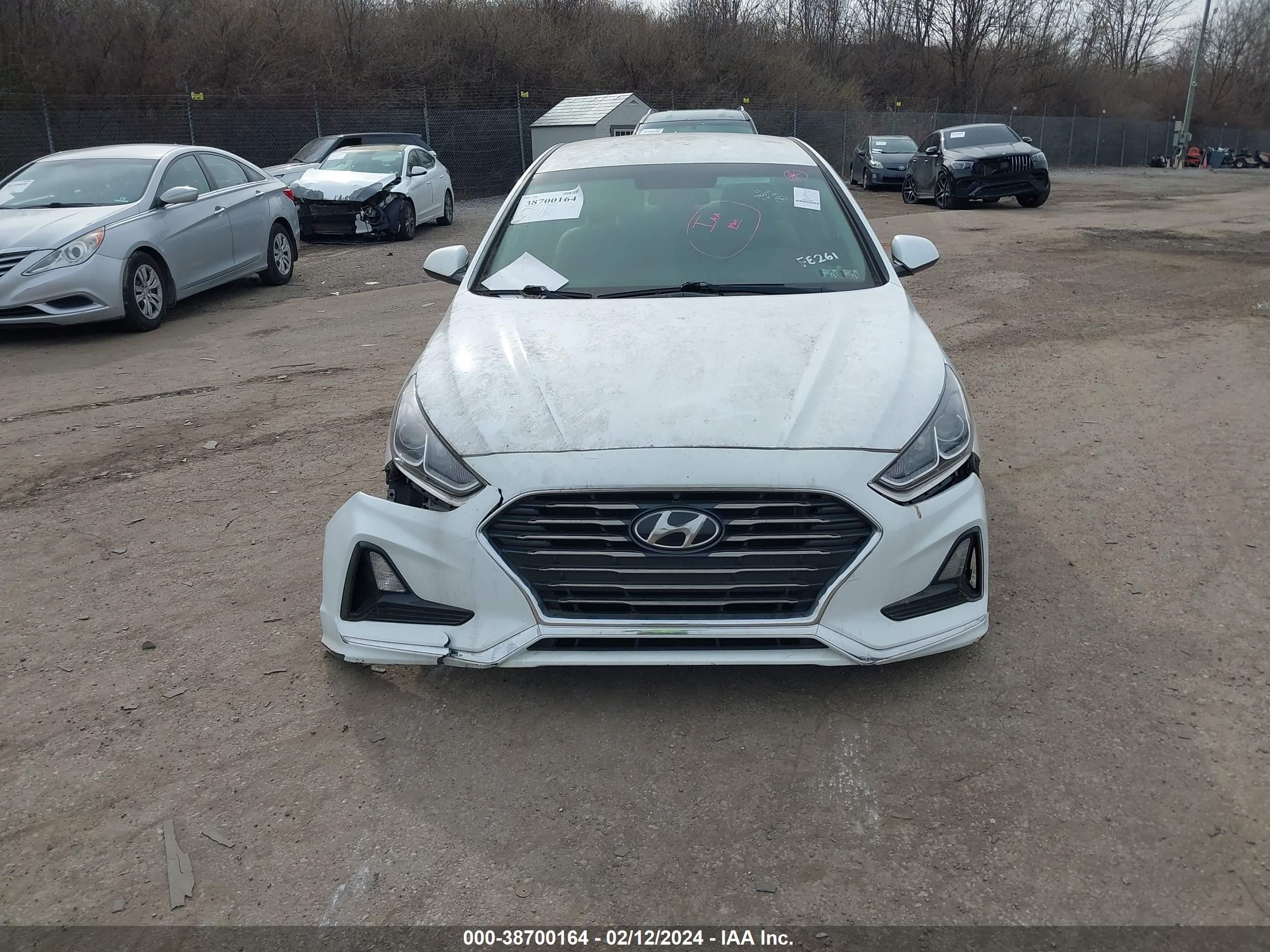 Photo 12 VIN: 5NPE24AF0KH746674 - HYUNDAI SONATA 