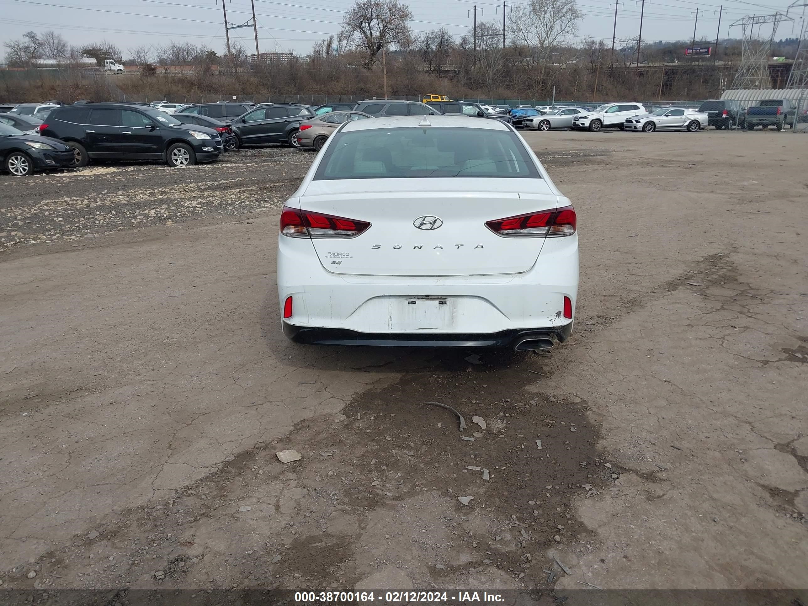 Photo 16 VIN: 5NPE24AF0KH746674 - HYUNDAI SONATA 