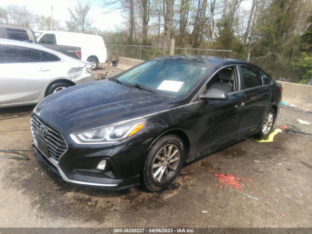 Photo 1 VIN: 5NPE24AF0KH766729 - HYUNDAI SONATA 