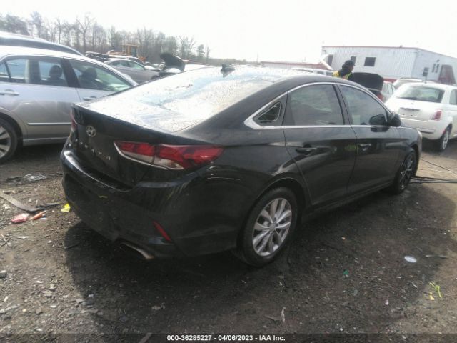 Photo 3 VIN: 5NPE24AF0KH766729 - HYUNDAI SONATA 