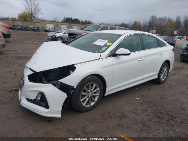 Photo 1 VIN: 5NPE24AF0KH772708 - HYUNDAI SONATA 