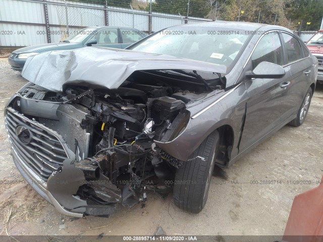 Photo 1 VIN: 5NPE24AF0KH774801 - HYUNDAI SONATA 