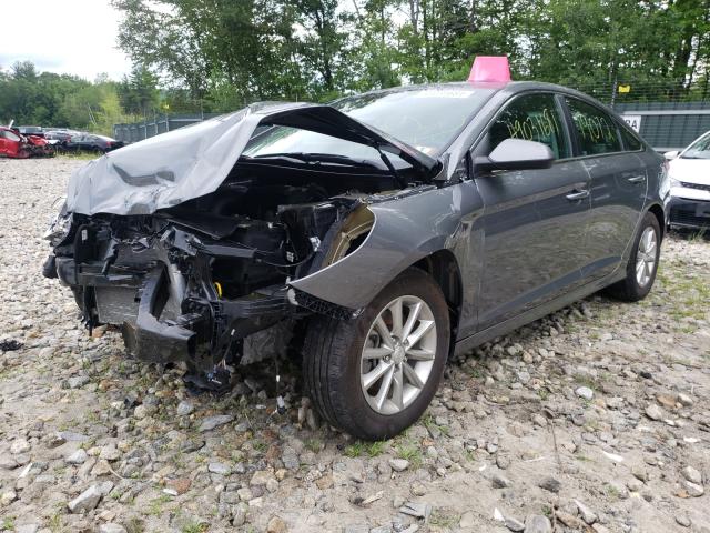 Photo 1 VIN: 5NPE24AF0KH790383 - HYUNDAI SONATA 