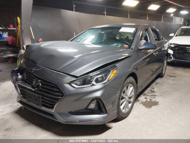 Photo 1 VIN: 5NPE24AF0KH797978 - HYUNDAI SONATA 