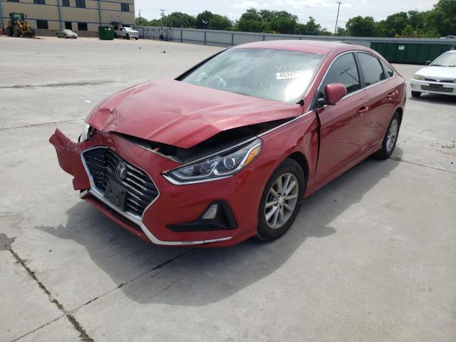 Photo 1 VIN: 5NPE24AF0KH816612 - HYUNDAI SONATA SE 