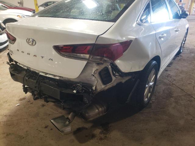 Photo 8 VIN: 5NPE24AF0KH817081 - HYUNDAI SONATA 