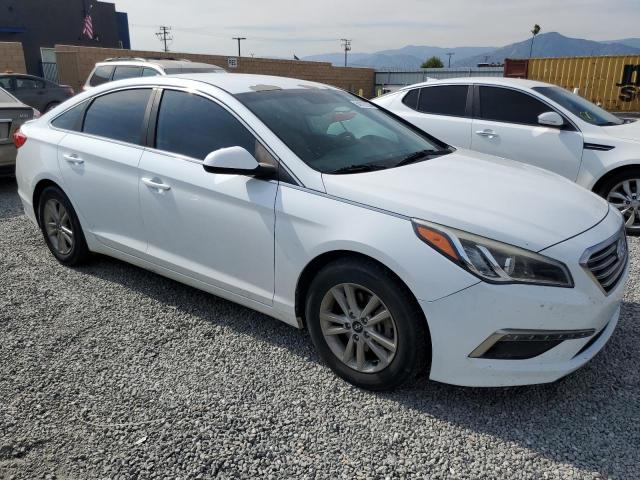 Photo 3 VIN: 5NPE24AF1FH004516 - HYUNDAI SONATA 