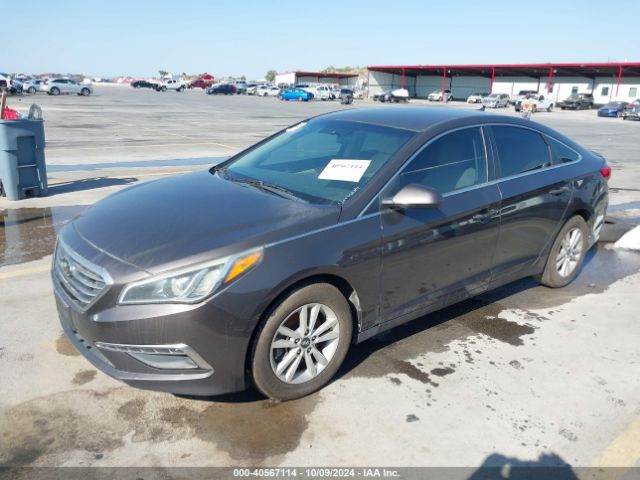 Photo 1 VIN: 5NPE24AF1FH055336 - HYUNDAI SONATA 