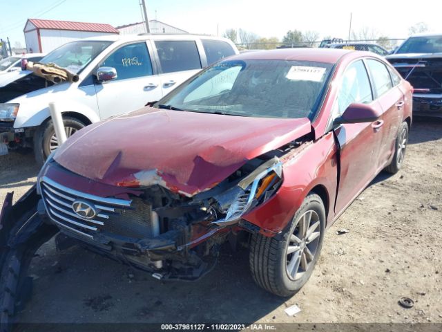 Photo 5 VIN: 5NPE24AF1FH072640 - HYUNDAI SONATA 