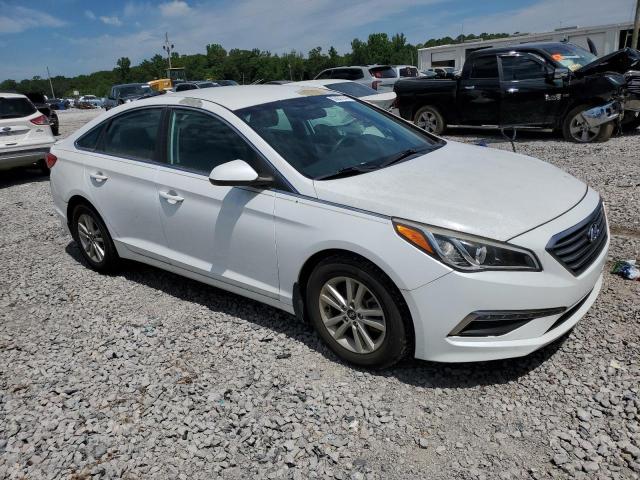 Photo 3 VIN: 5NPE24AF1FH143447 - HYUNDAI SONATA 