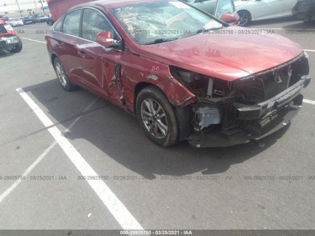 Photo 5 VIN: 5NPE24AF1FH147854 - HYUNDAI SONATA 