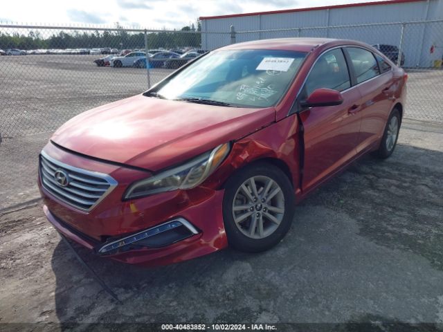 Photo 5 VIN: 5NPE24AF1FH148180 - HYUNDAI SONATA 