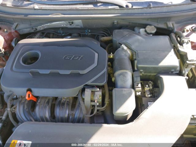 Photo 9 VIN: 5NPE24AF1FH169921 - HYUNDAI SONATA 