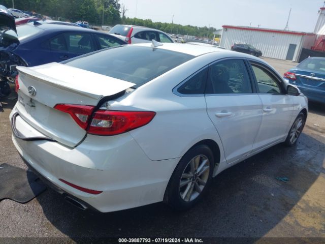 Photo 3 VIN: 5NPE24AF1FH209253 - HYUNDAI SONATA 