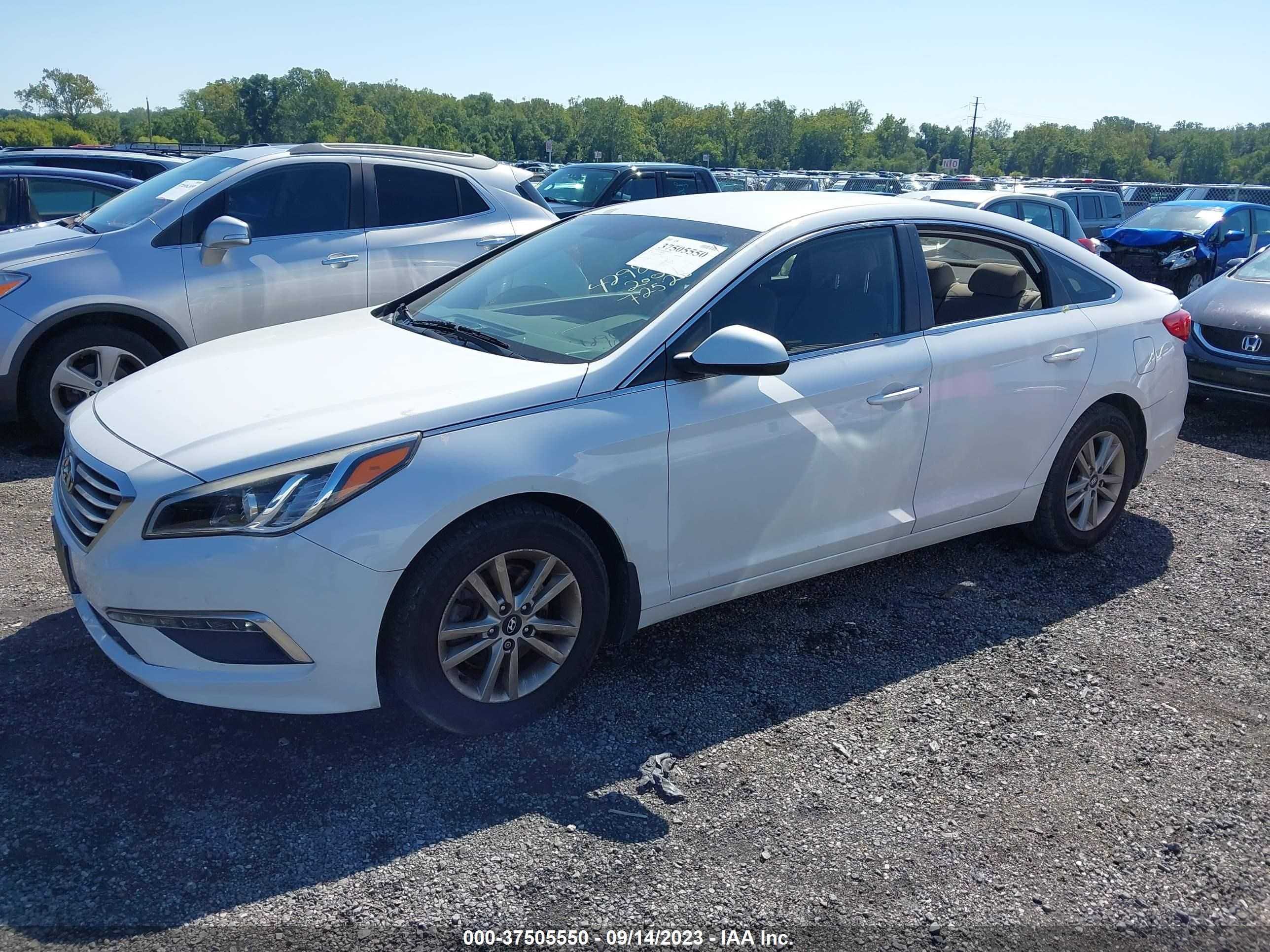 Photo 1 VIN: 5NPE24AF1FH210029 - HYUNDAI SONATA 