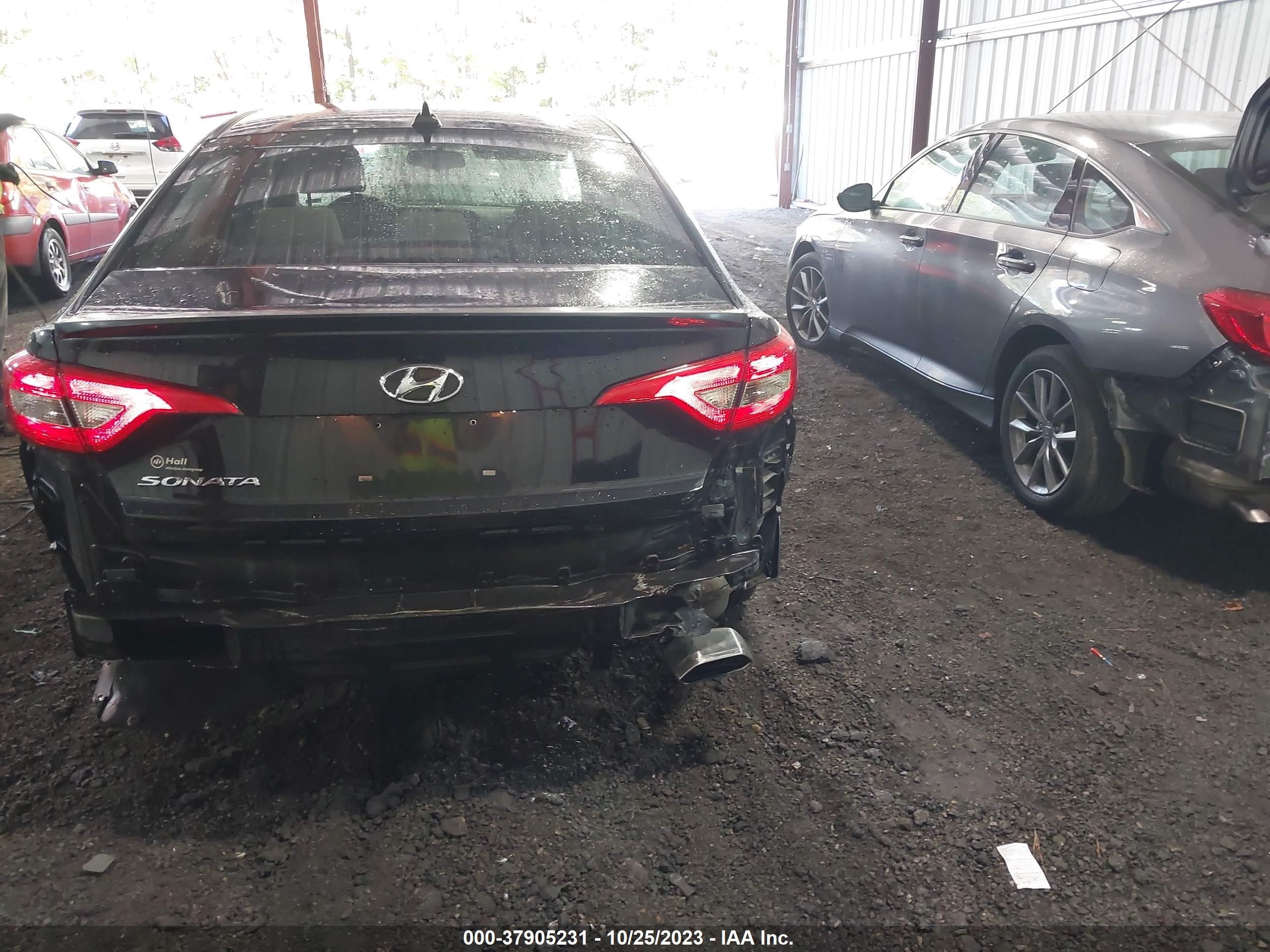 Photo 16 VIN: 5NPE24AF1FH225825 - HYUNDAI SONATA 