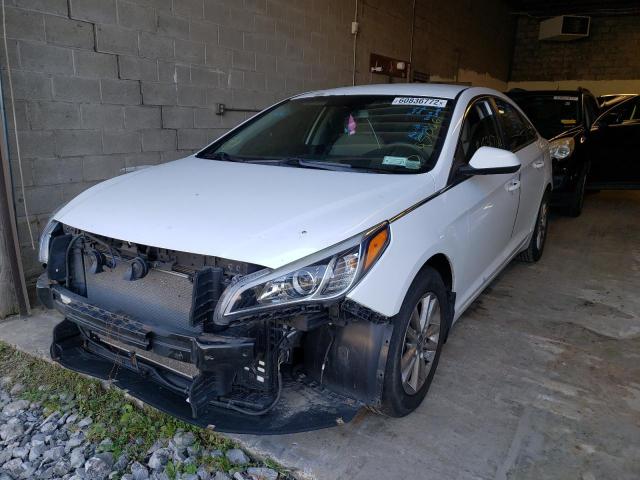 Photo 1 VIN: 5NPE24AF1FH246335 - HYUNDAI SONATA SE 