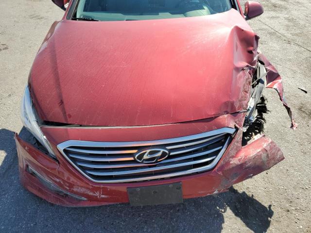 Photo 10 VIN: 5NPE24AF1FH250014 - HYUNDAI SONATA 