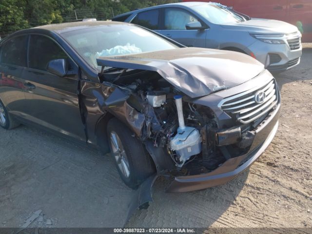 Photo 5 VIN: 5NPE24AF1GH261077 - HYUNDAI SONATA 