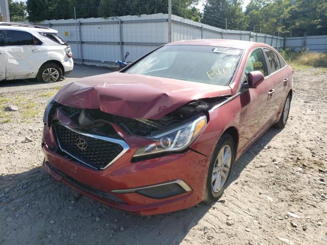 Photo 1 VIN: 5NPE24AF1GH262410 - HYUNDAI SONATA SE 