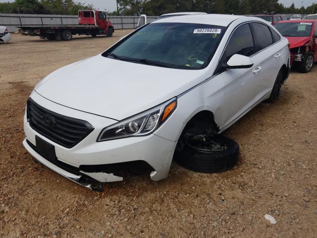 Photo 1 VIN: 5NPE24AF1GH268742 - HYUNDAI SONATA SE 