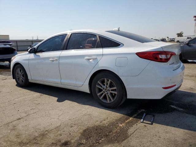 Photo 1 VIN: 5NPE24AF1GH291146 - HYUNDAI SONATA SE 