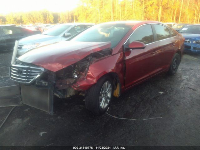 Photo 1 VIN: 5NPE24AF1GH308091 - HYUNDAI SONATA 