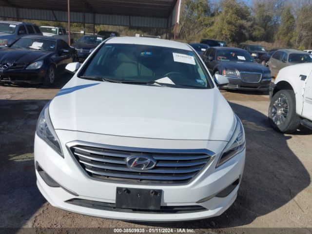 Photo 5 VIN: 5NPE24AF1GH353709 - HYUNDAI SONATA 