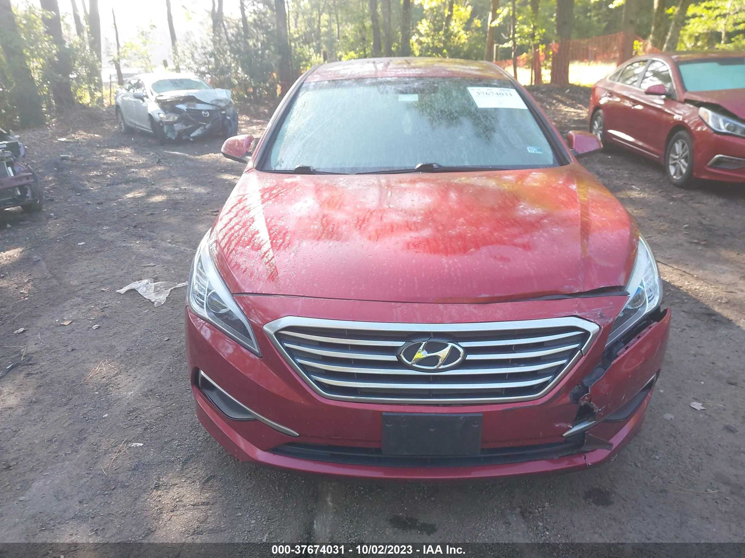 Photo 11 VIN: 5NPE24AF1GH362197 - HYUNDAI SONATA 