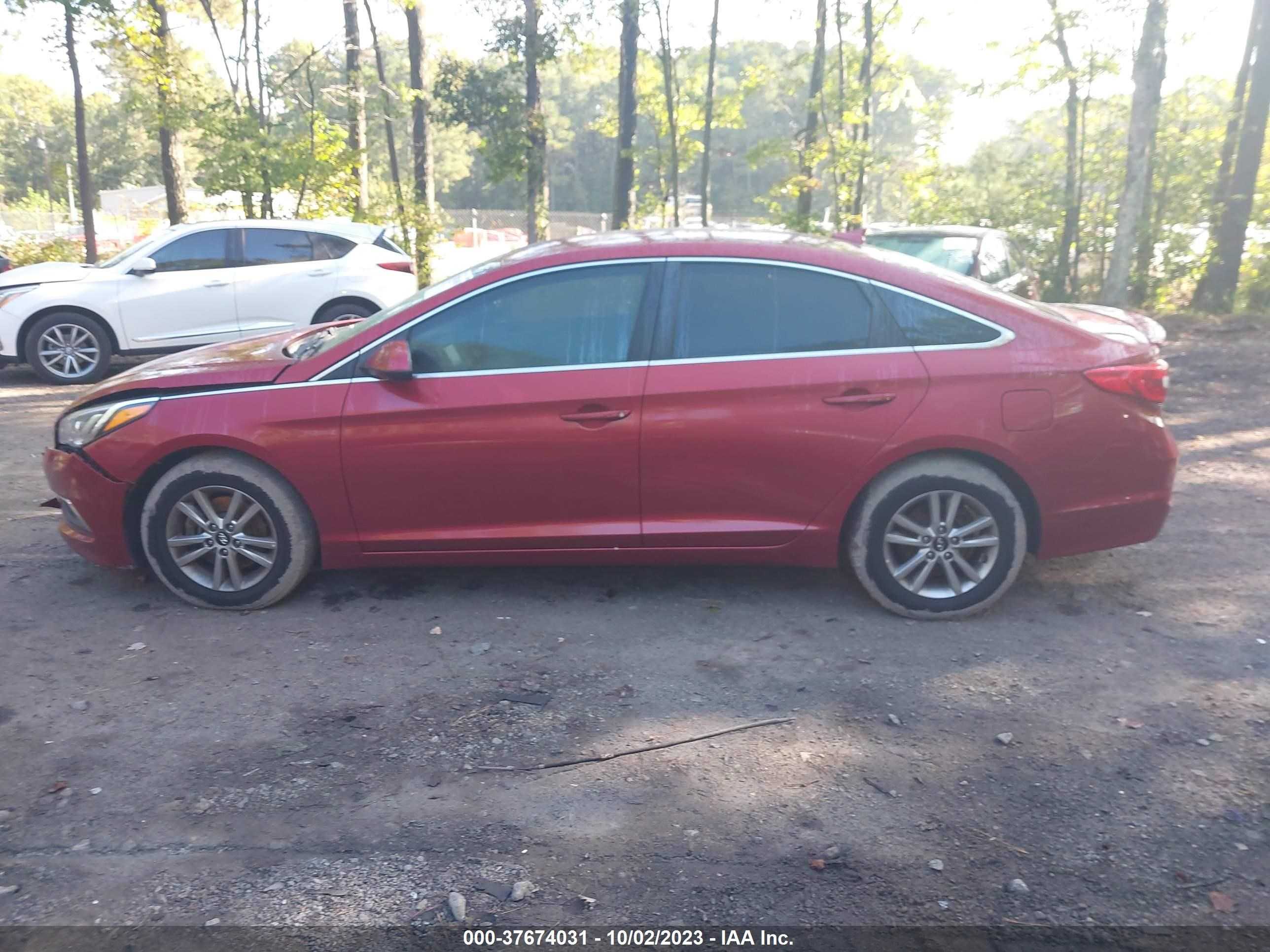 Photo 13 VIN: 5NPE24AF1GH362197 - HYUNDAI SONATA 