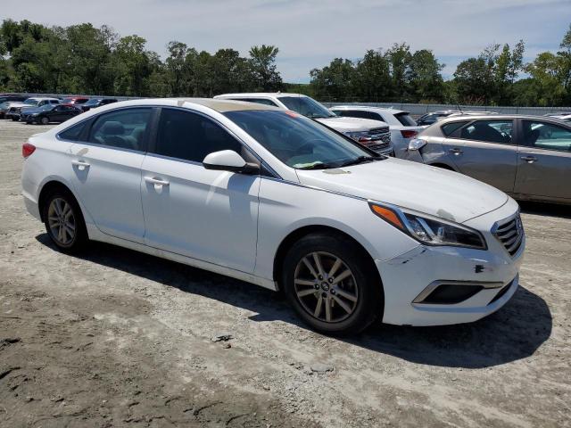 Photo 3 VIN: 5NPE24AF1GH370249 - HYUNDAI SONATA SE 