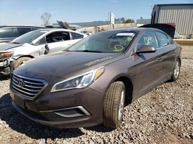 Photo 1 VIN: 5NPE24AF1GH399010 - HYUNDAI SONATA SE 