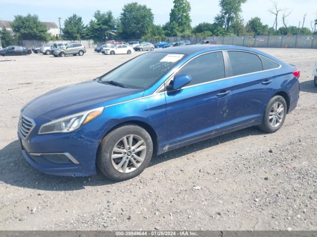 Photo 1 VIN: 5NPE24AF1HH455562 - HYUNDAI SONATA 