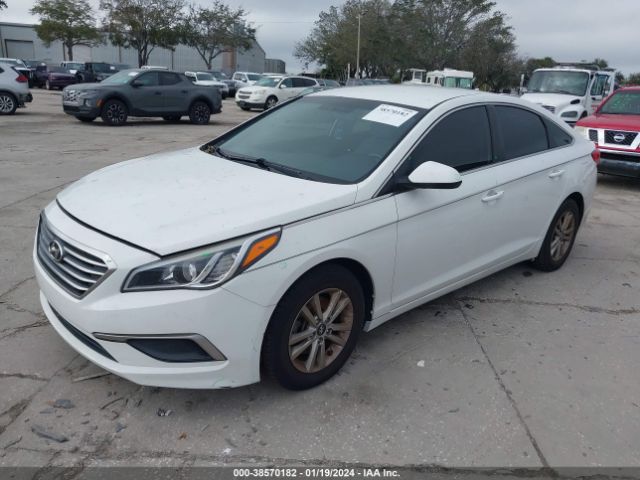 Photo 1 VIN: 5NPE24AF1HH469896 - HYUNDAI SONATA 