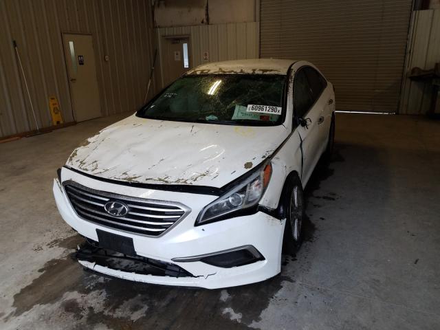 Photo 8 VIN: 5NPE24AF1HH485872 - HYUNDAI SONATA SE 