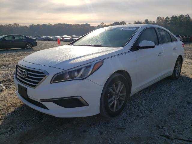 Photo 1 VIN: 5NPE24AF1HH505764 - HYUNDAI SONATA SE 