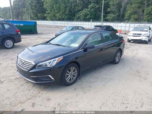 Photo 1 VIN: 5NPE24AF1HH507174 - HYUNDAI SONATA 