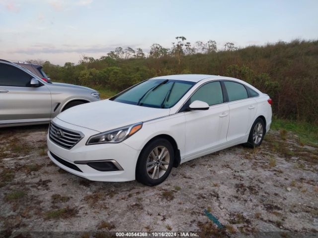 Photo 1 VIN: 5NPE24AF1HH516571 - HYUNDAI SONATA 