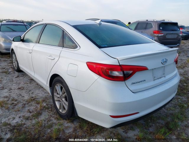 Photo 2 VIN: 5NPE24AF1HH516571 - HYUNDAI SONATA 