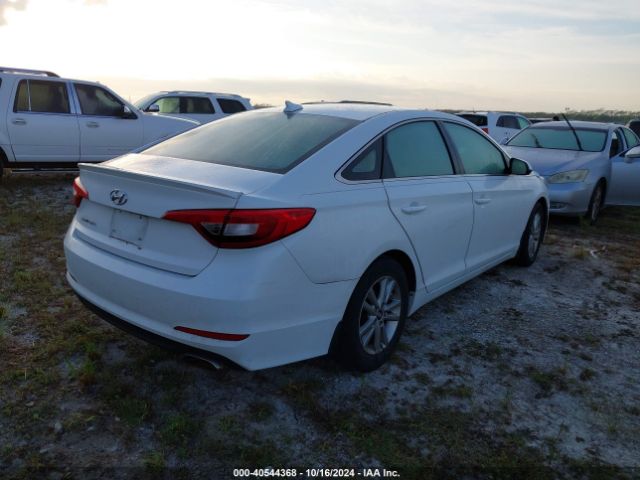 Photo 3 VIN: 5NPE24AF1HH516571 - HYUNDAI SONATA 