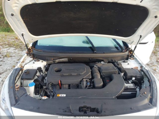 Photo 9 VIN: 5NPE24AF1HH516571 - HYUNDAI SONATA 