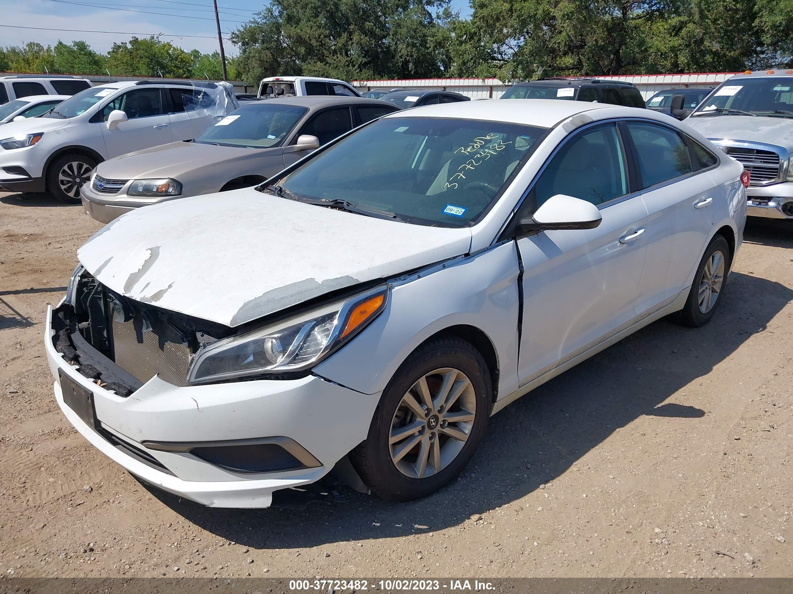 Photo 1 VIN: 5NPE24AF1HH527196 - HYUNDAI SONATA 