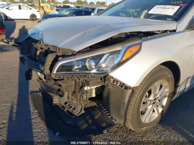 Photo 5 VIN: 5NPE24AF1HH528669 - HYUNDAI SONATA 