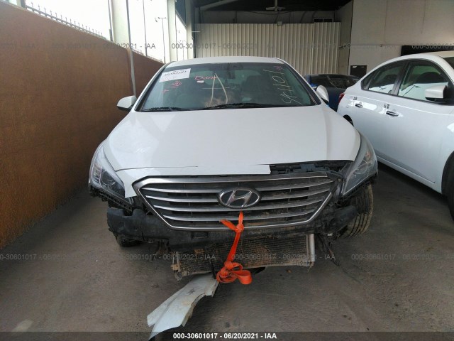 Photo 5 VIN: 5NPE24AF1HH541101 - HYUNDAI SONATA 