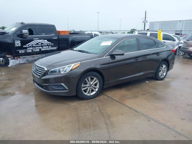 Photo 1 VIN: 5NPE24AF1HH563566 - HYUNDAI SONATA 